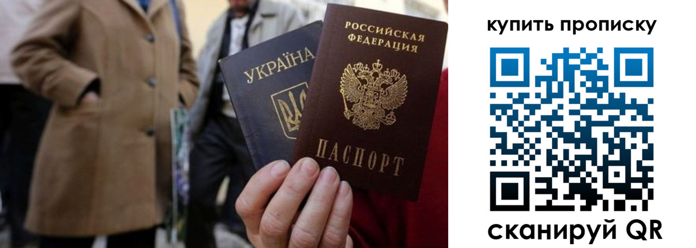 прописка от собственника в Светлогорске