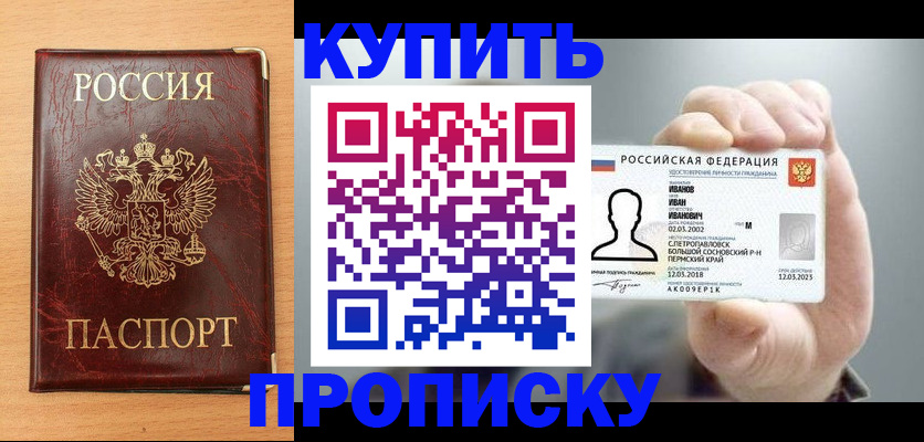 прописка от собственника в Светлогорске